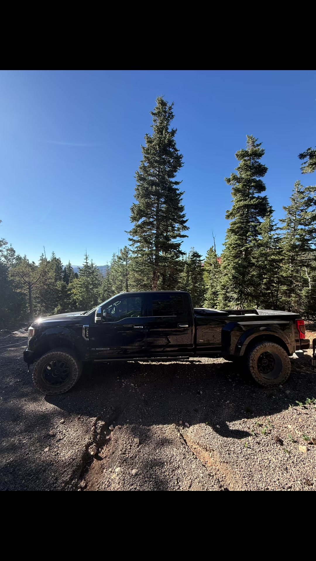 @grizzly_
