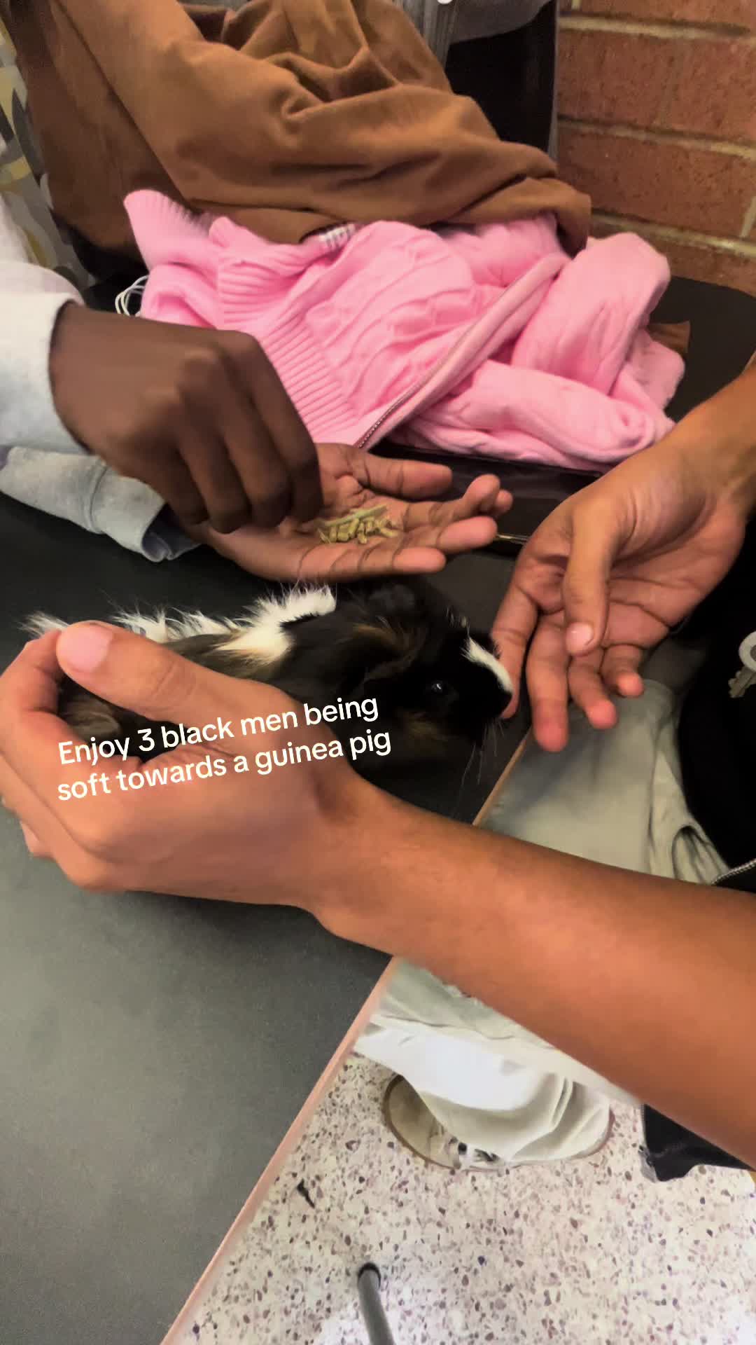 @yo_shasten