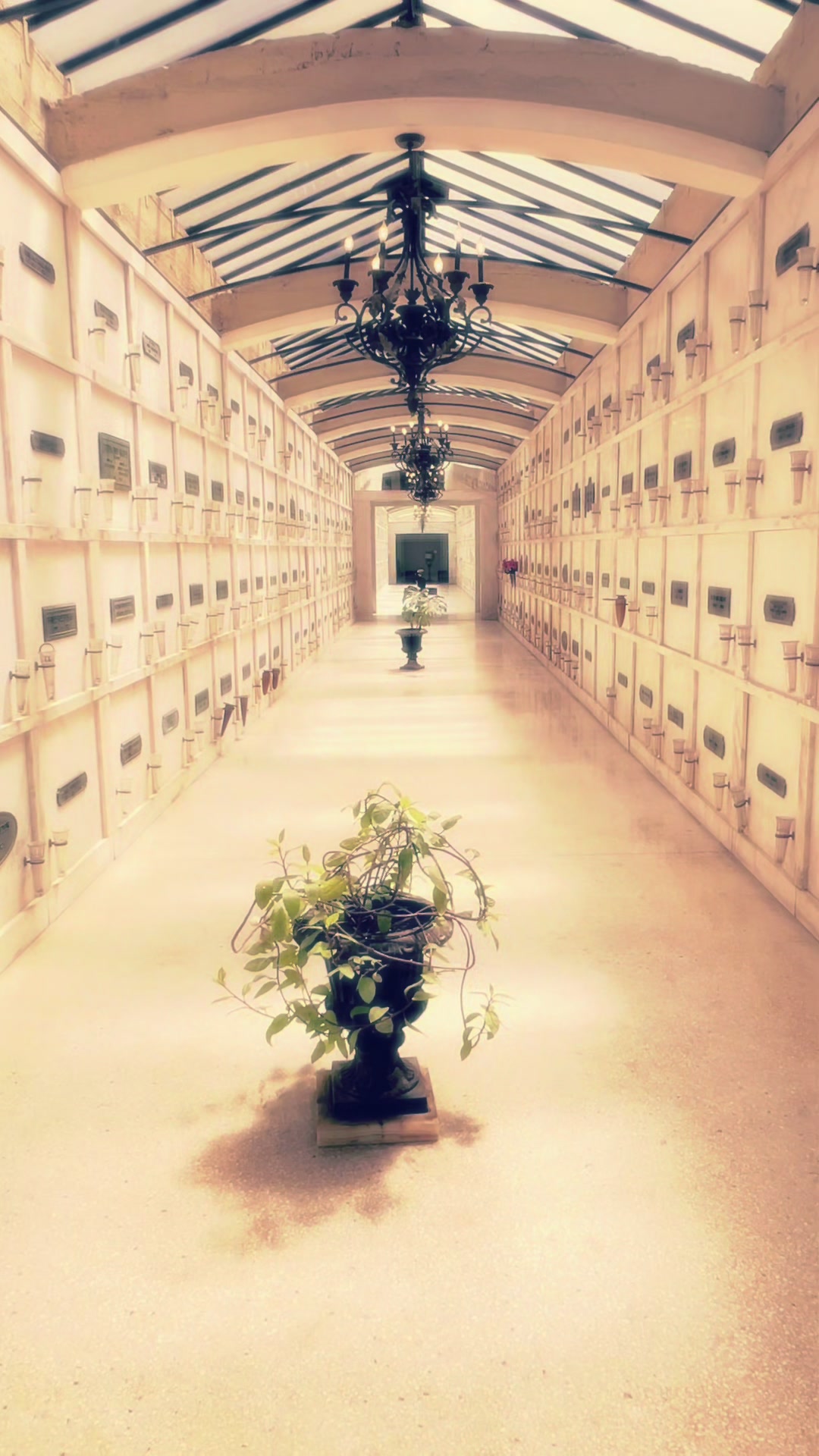 @Kara | End-of-Life Educator 🖤
