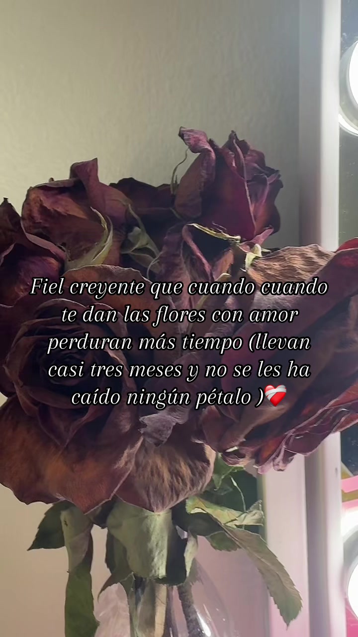 @y_Mely23