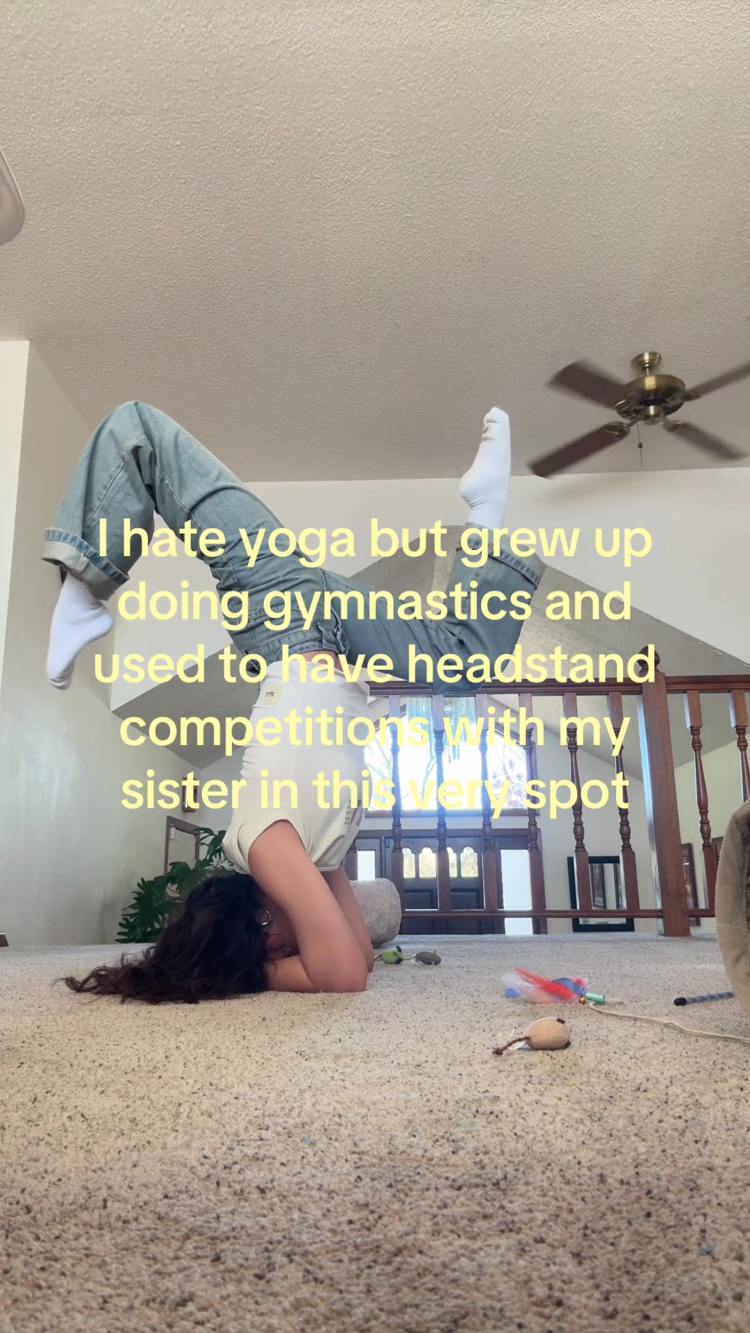 @Kitten