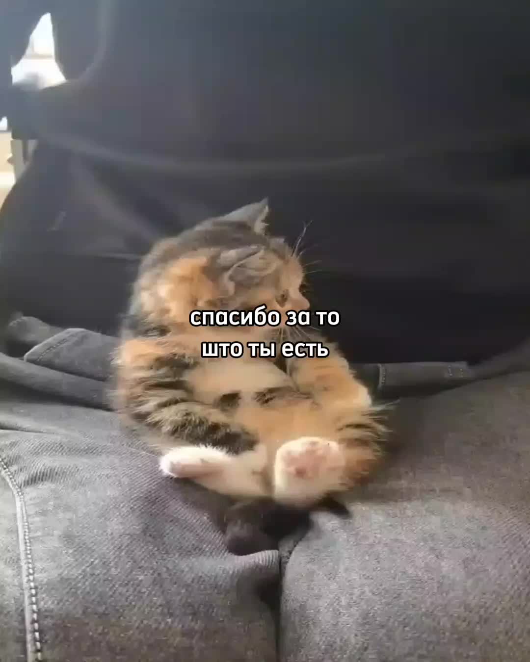 @ꜰᴇɴʏᴀ@