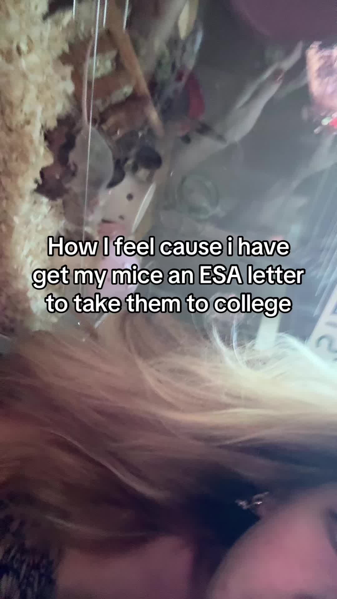 @thatweirdanimalgirl