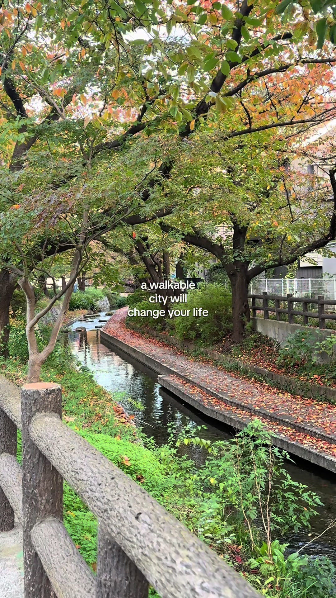 @leck in tokyo˙⋆✮