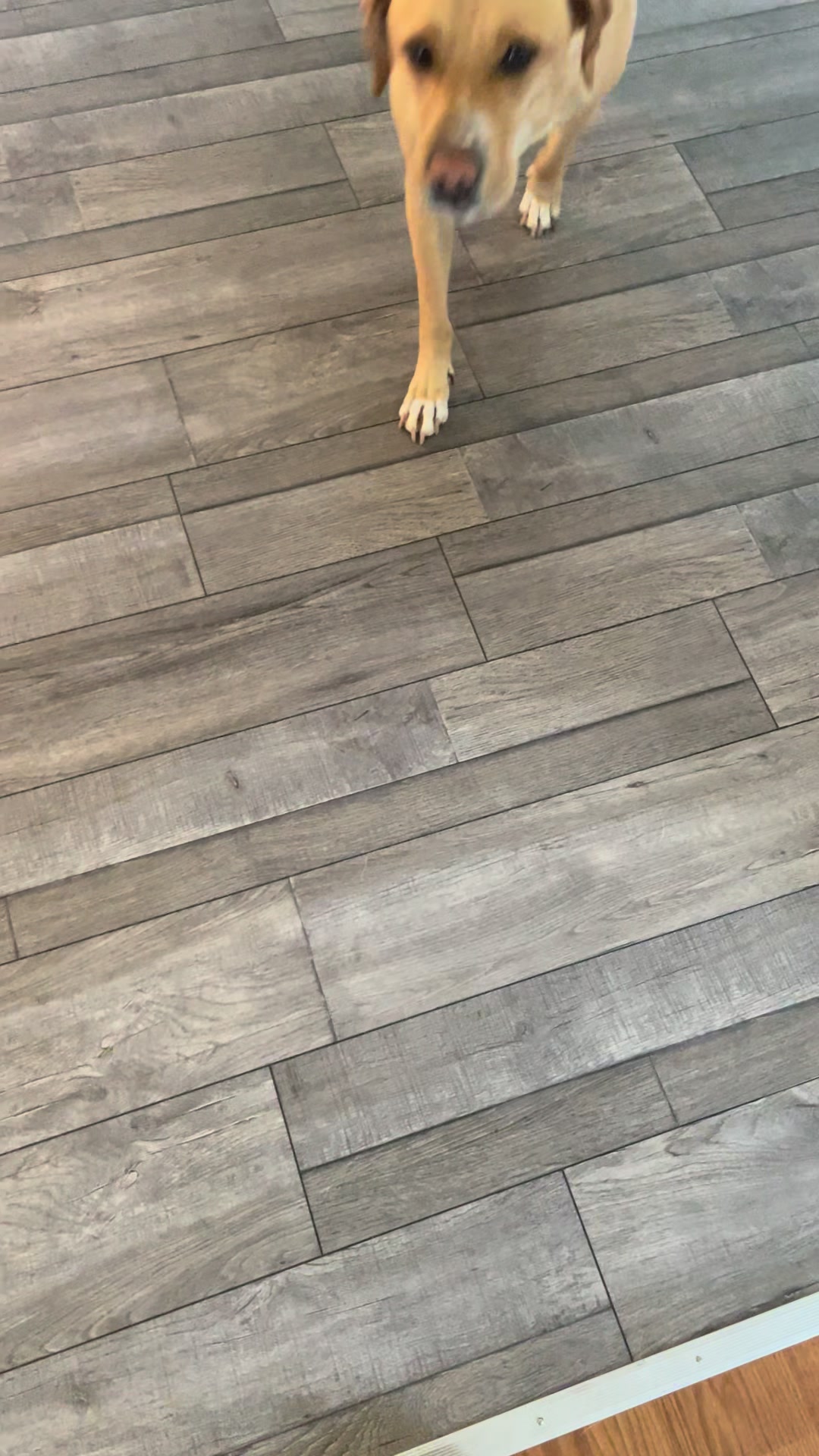 @Chell Love