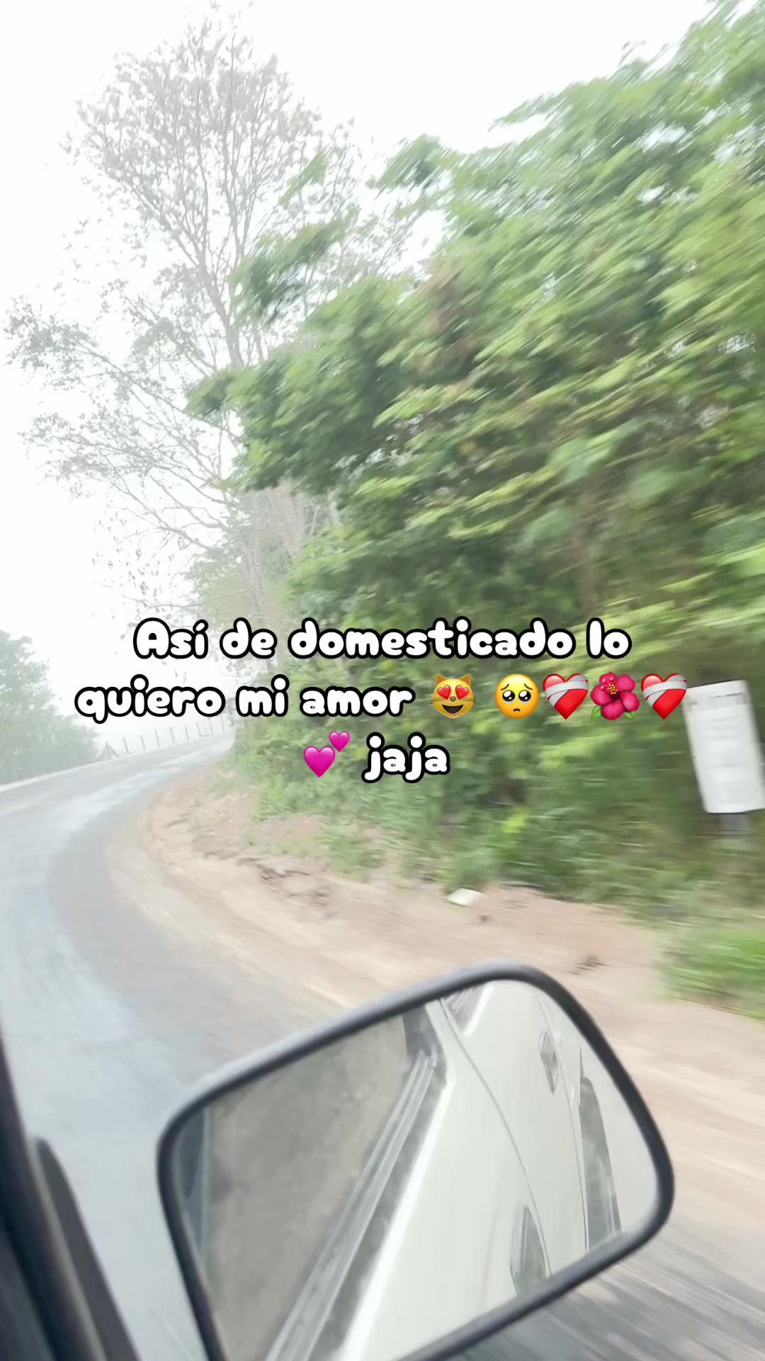 @taniasanches69✅