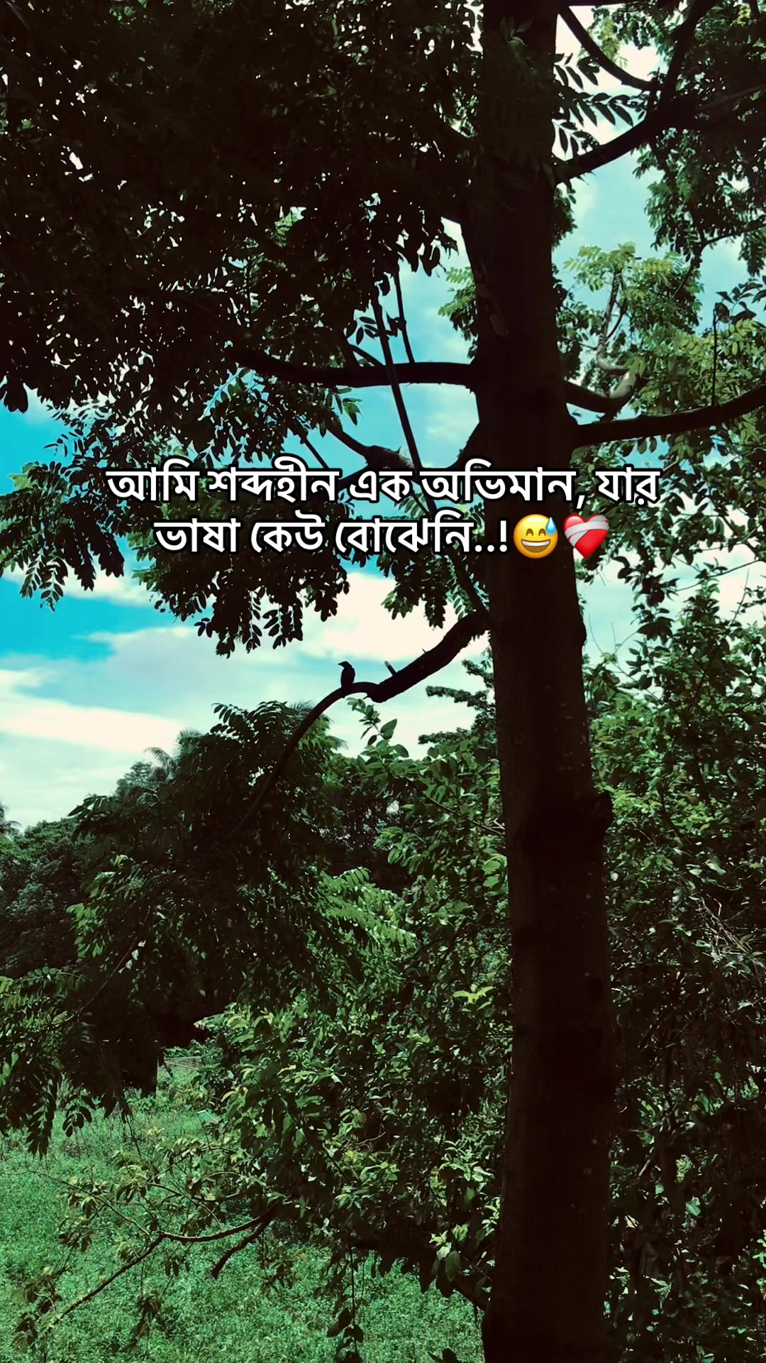 @the_spydoo🕸️ 🥏