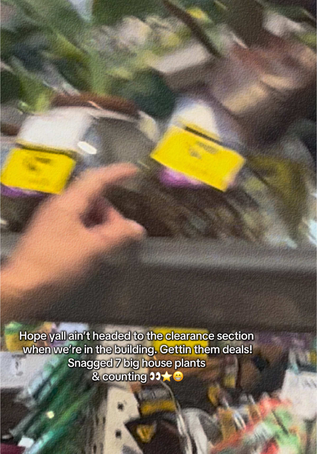 @Sirina fucking Gibson