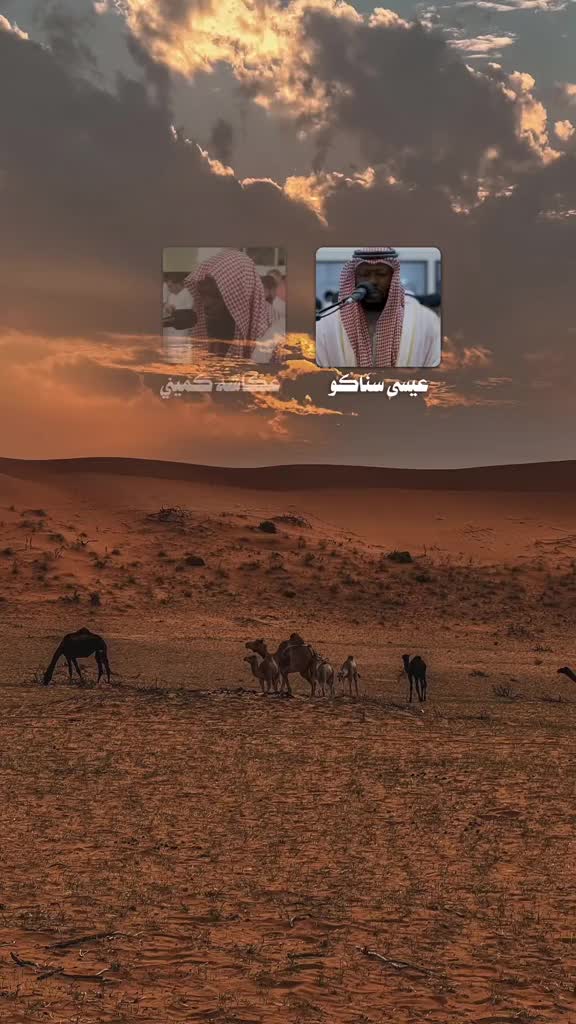 @عمٌـاد الـٌهـَلالي 𓅔