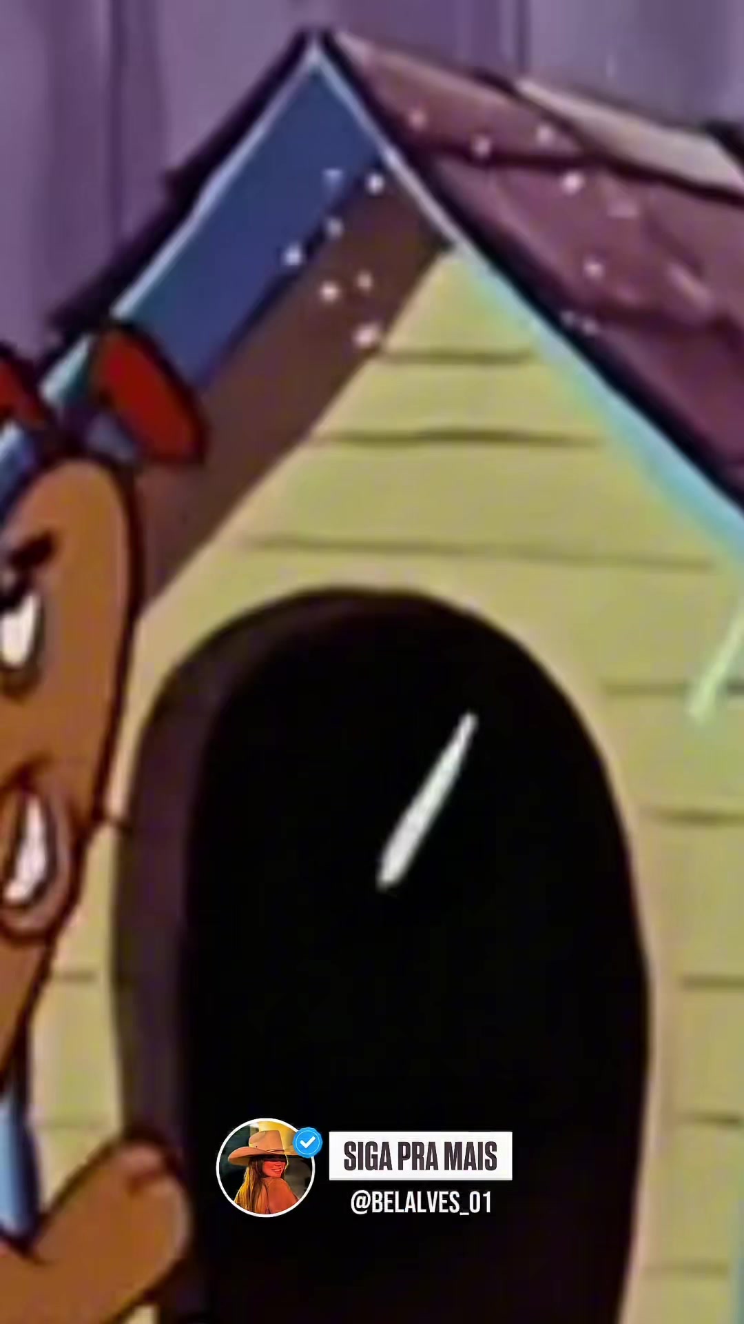 @Bel Alves