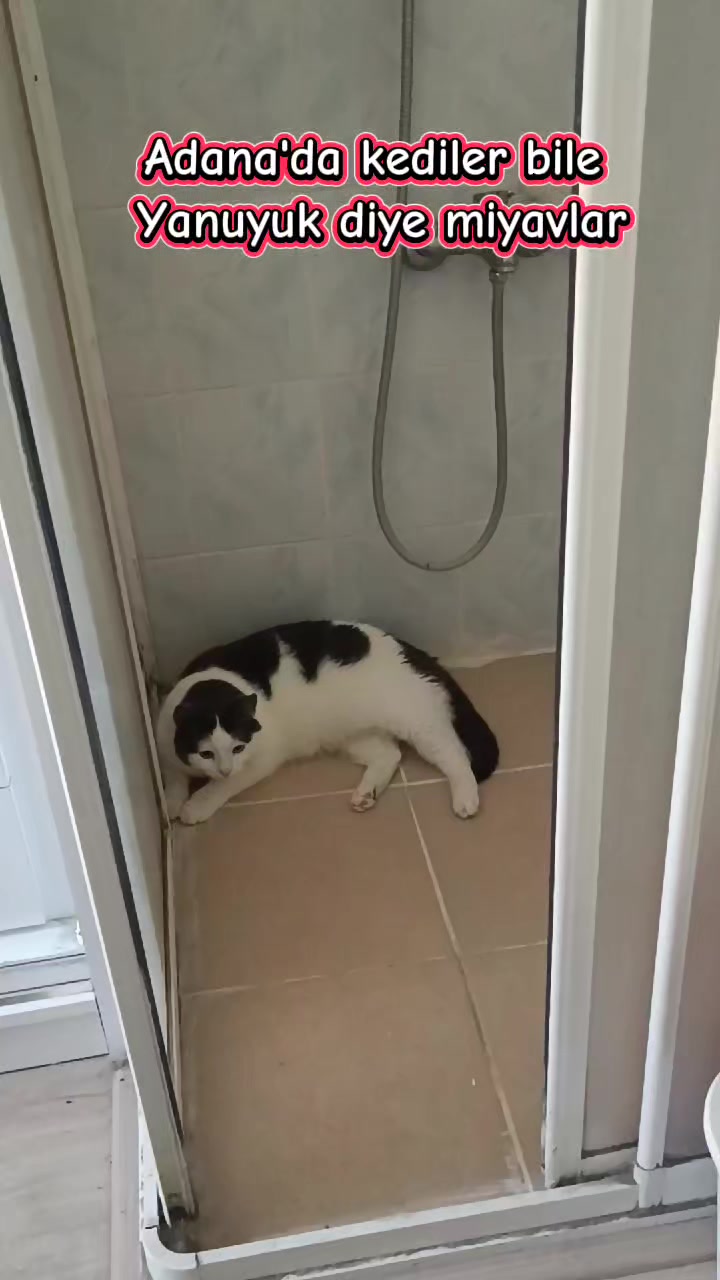 @H&uuml;seyin Orak