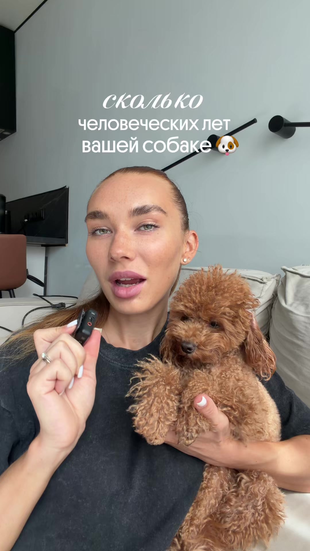 @beatrice_poodle