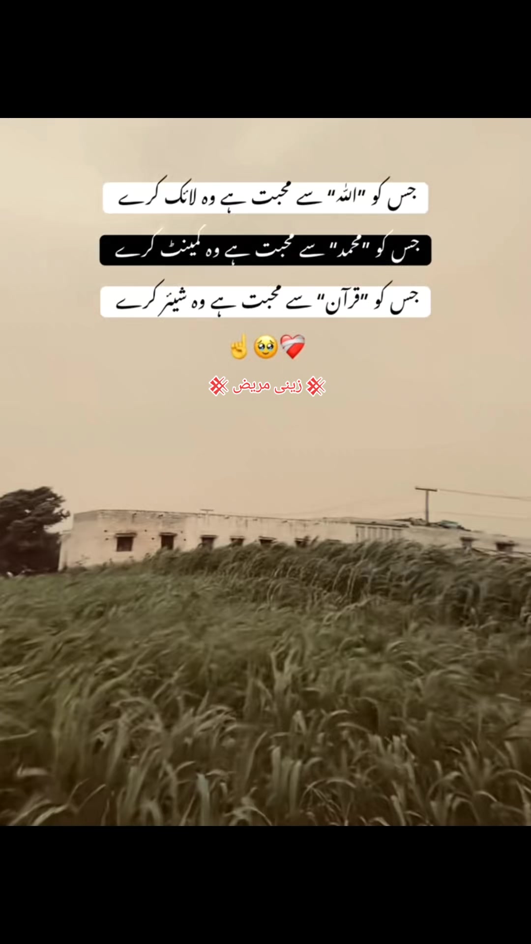 @𓆩♡𓆪 💕 سرائکی چھوہر 💕 𓆩♡𓆪