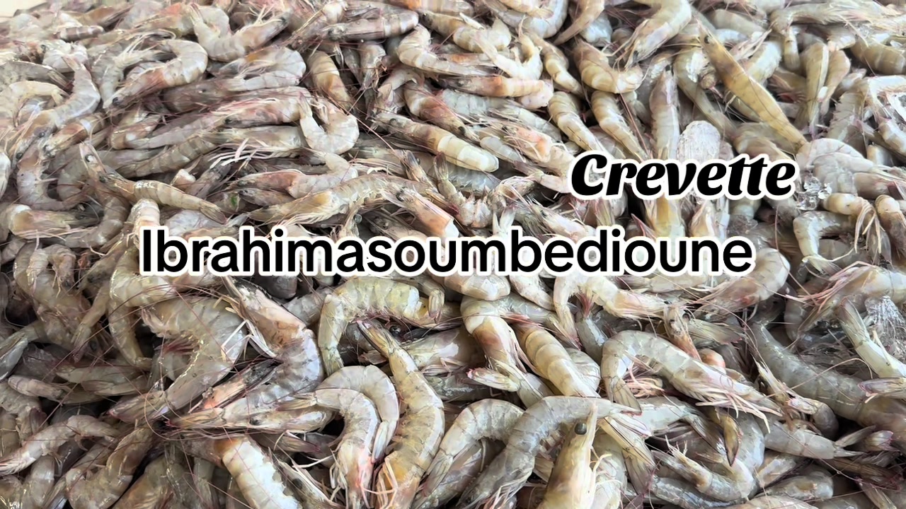 @Ibrahimasoumbedioune0