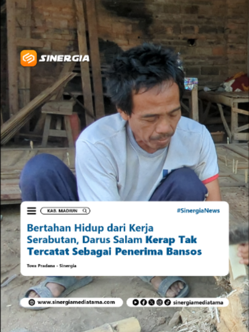 @SINERGIA MEDIATAMA