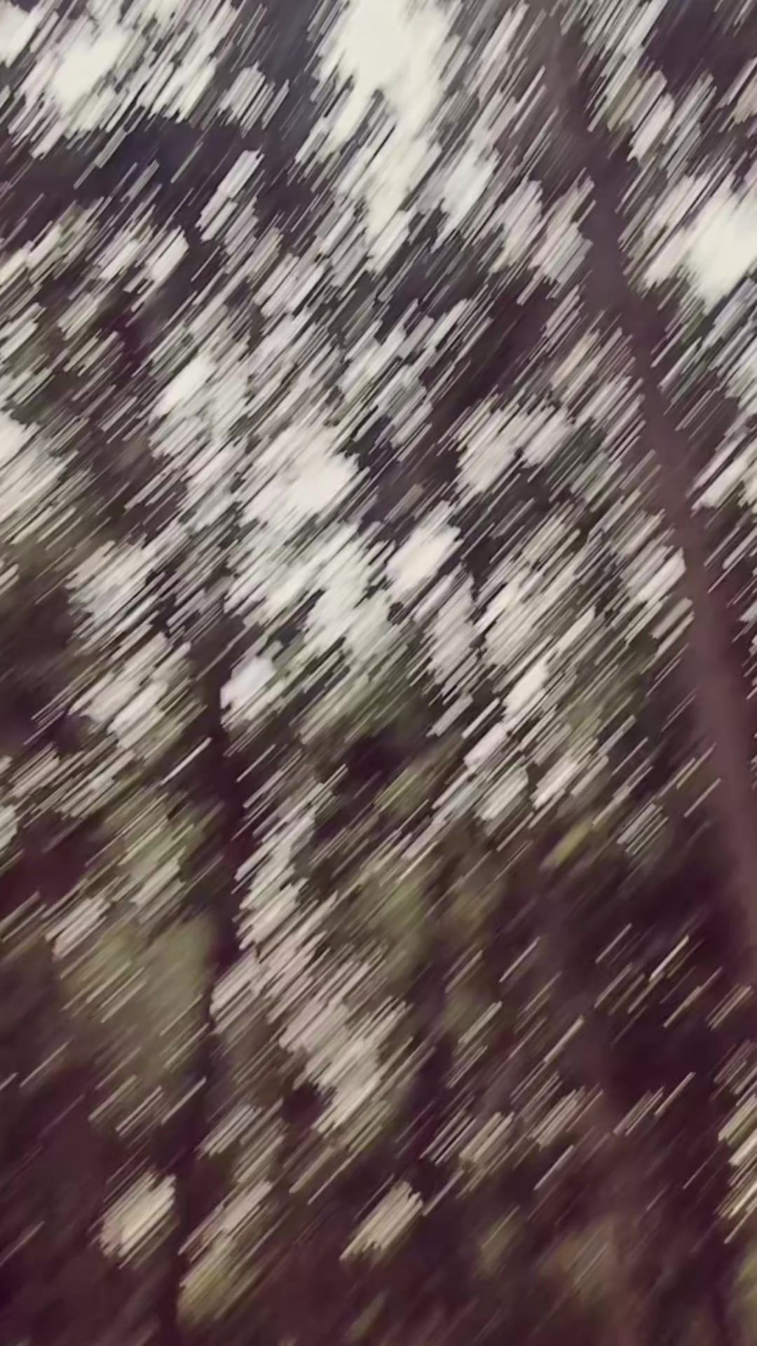 @🍂🫀ɧąʂɛɛც&oslash;🫀🍂