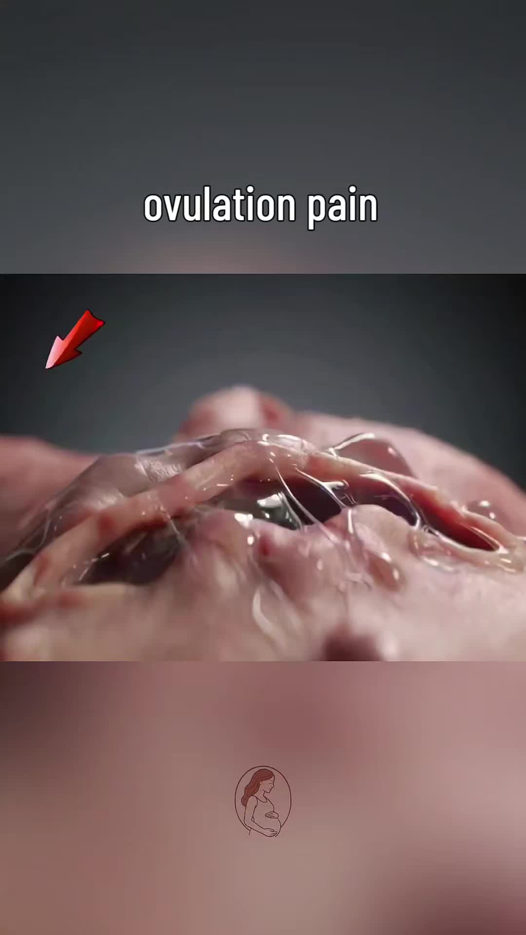 @Secret Body AI