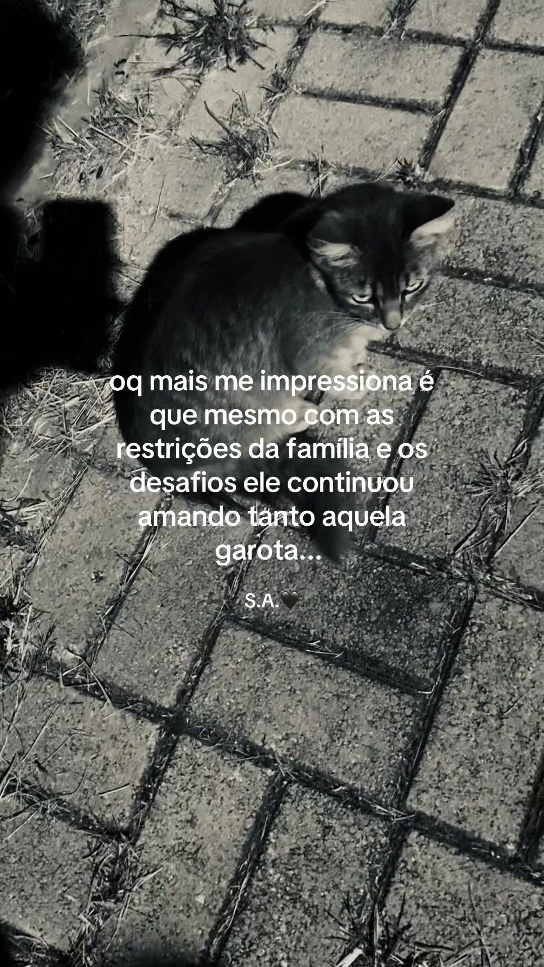 @kn