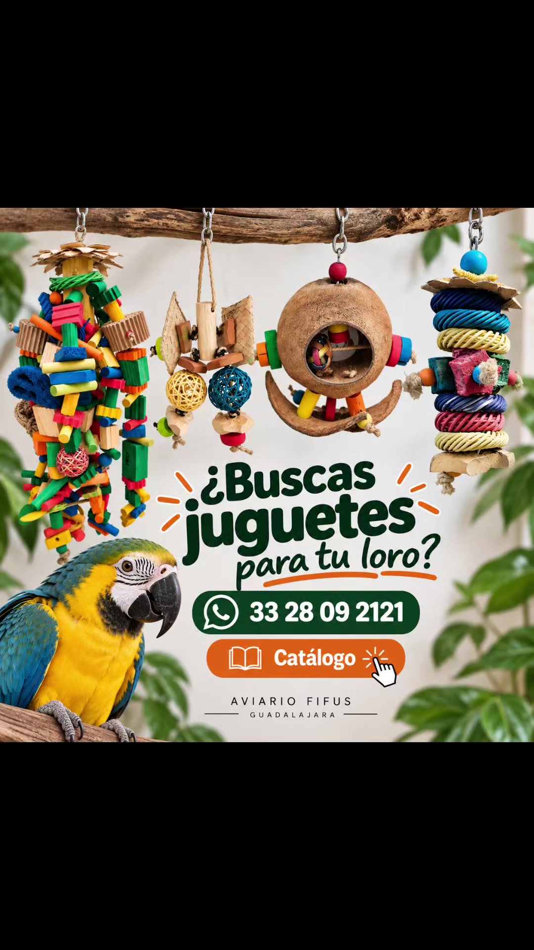 @Aviario FIFUS Guadalajara
