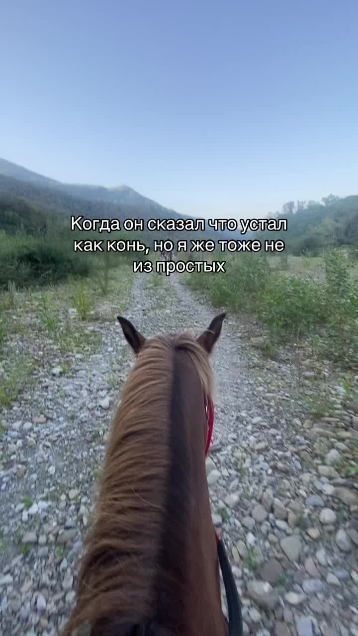 @Анна Цветкова