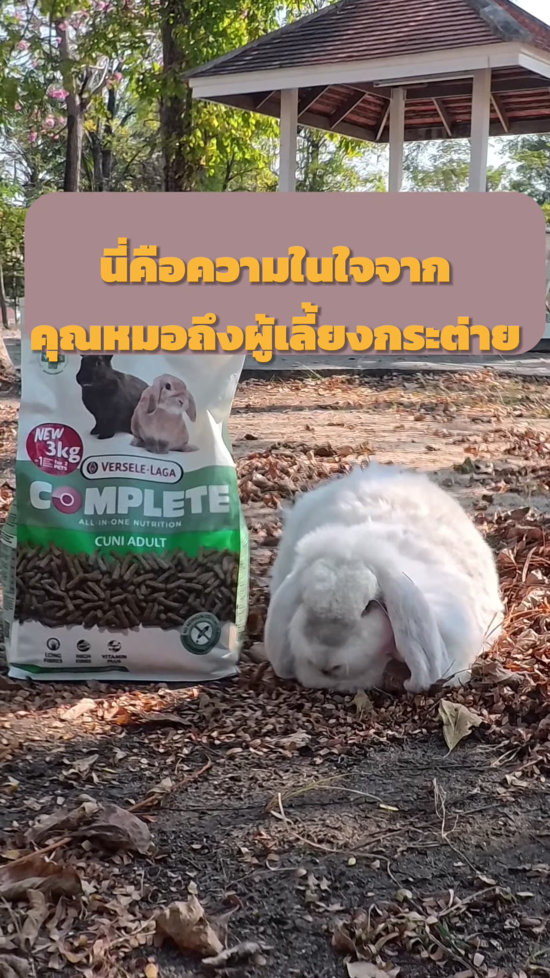 @WelovepetsbyPamornchaiSupply