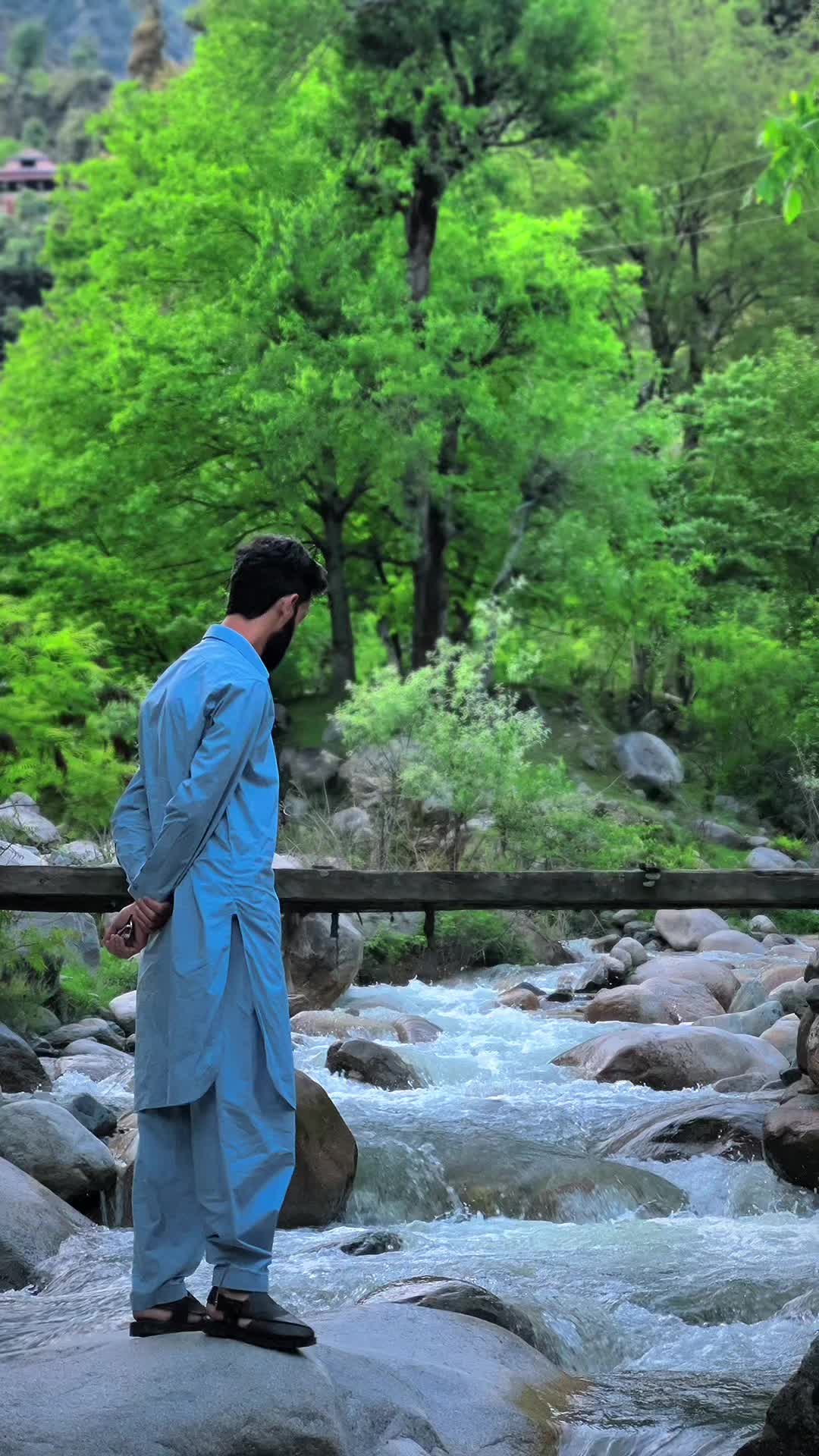 @Aamir Kashmiri 🍁