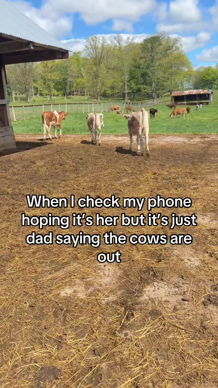 @Brock Nesvacil