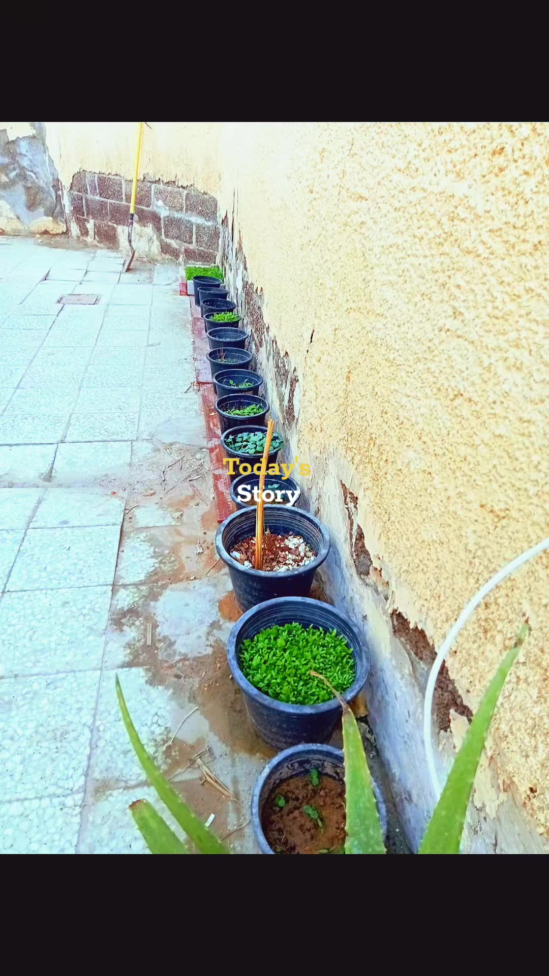 @ജീവൻ❤️ കൊടുക്കുന്ന❤️ പ്രണയം ❤️