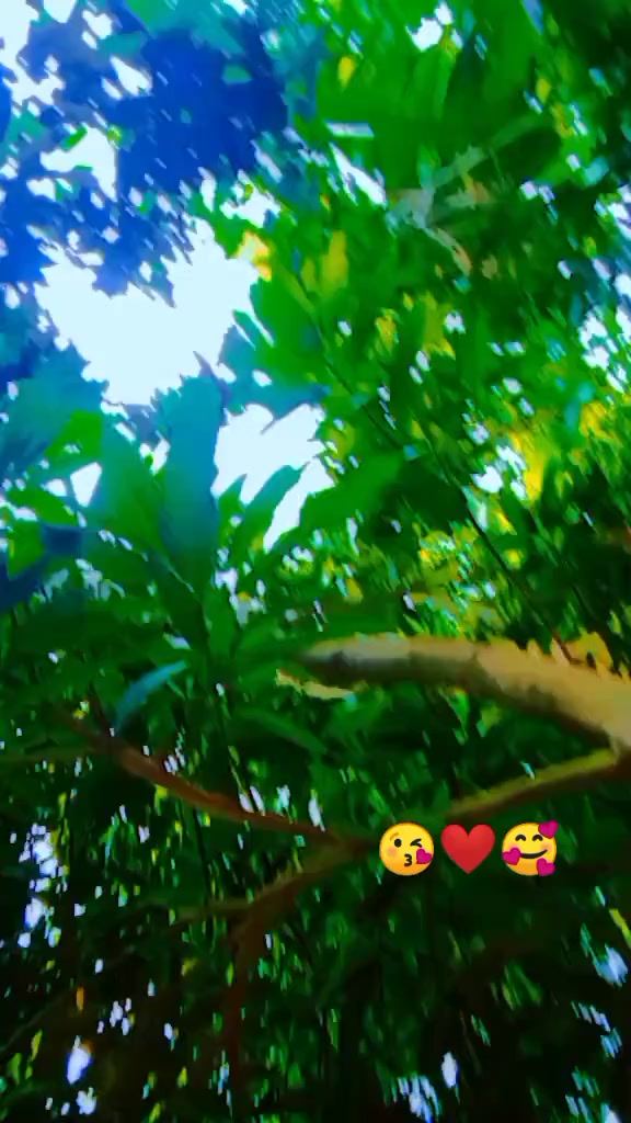 @anika♥️ angad54