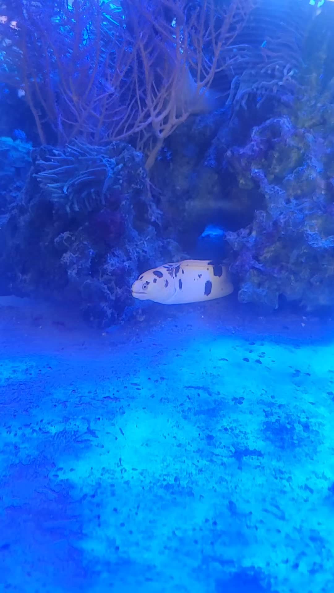 @Darusticsaltwateradventures
