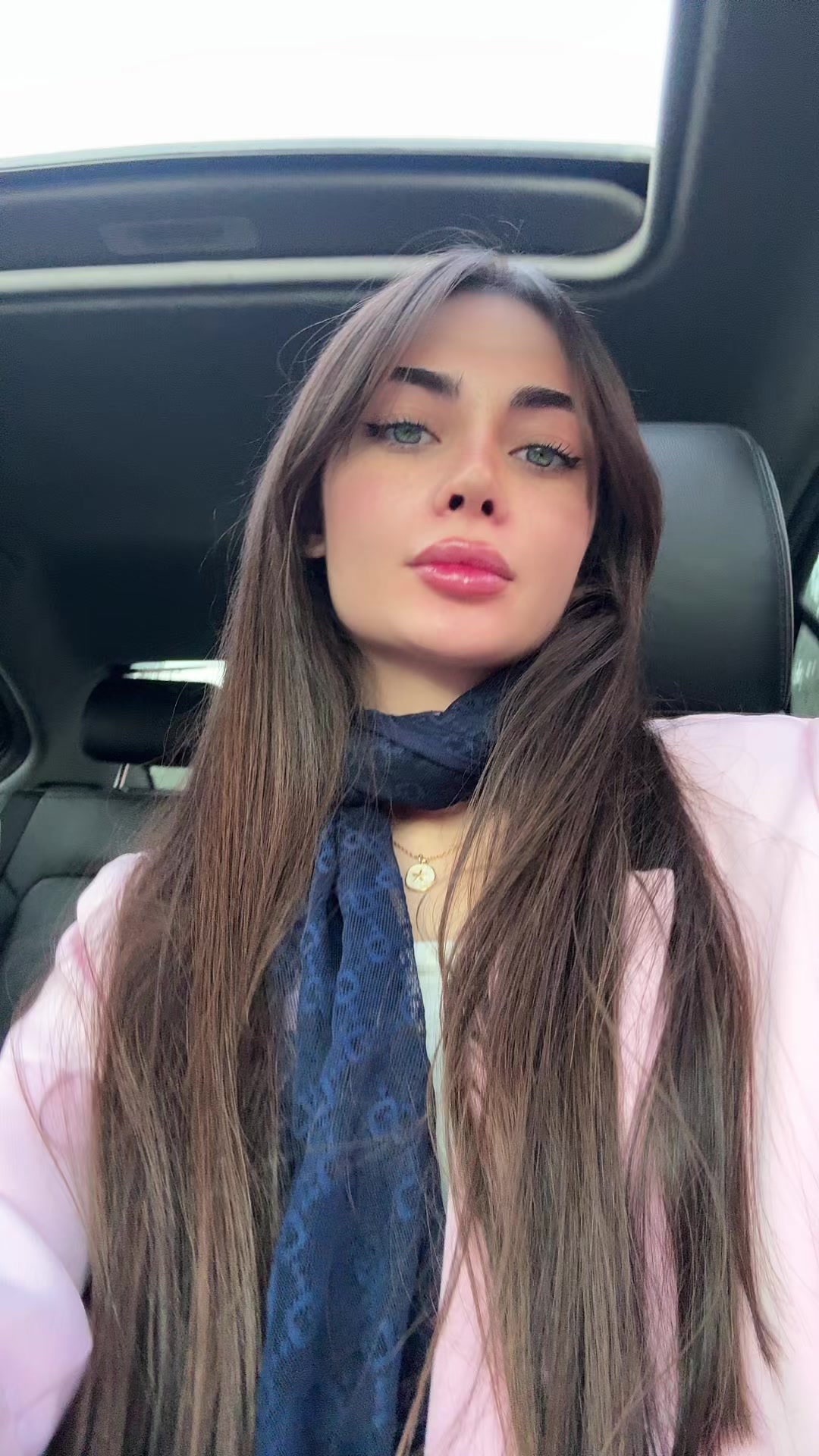 @elnaz afzal