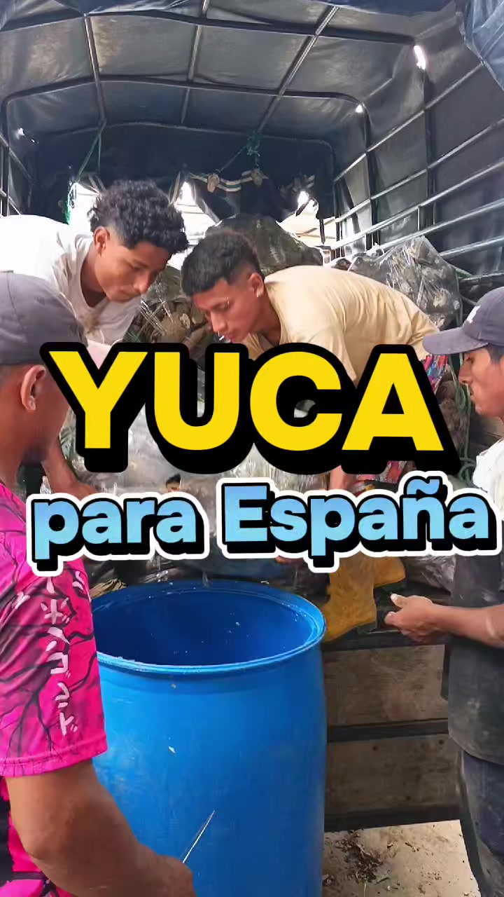 @Enrique Togan