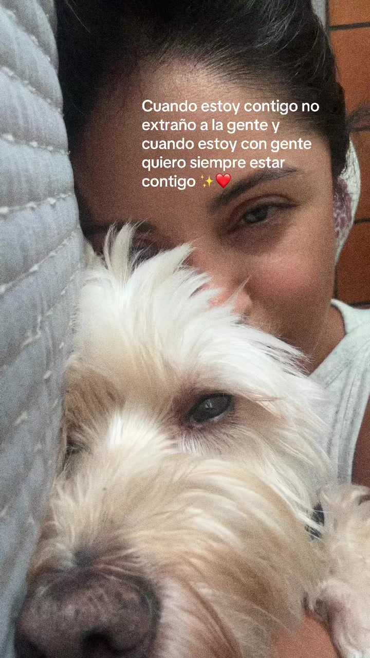 @Beyli