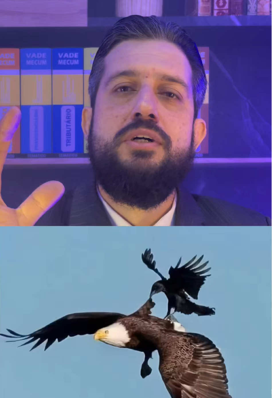 @raizacademy