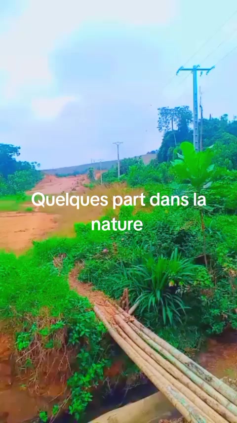 @Mr. Kara (Amadou)Routier1⚔️