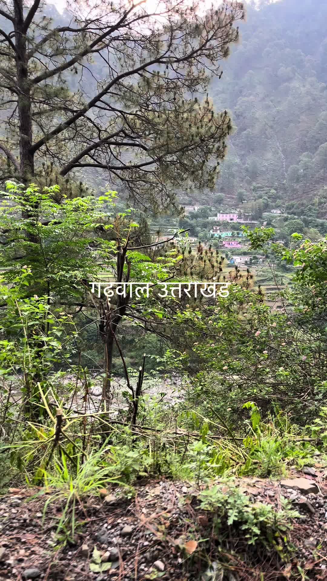 @Uttarakhand Today