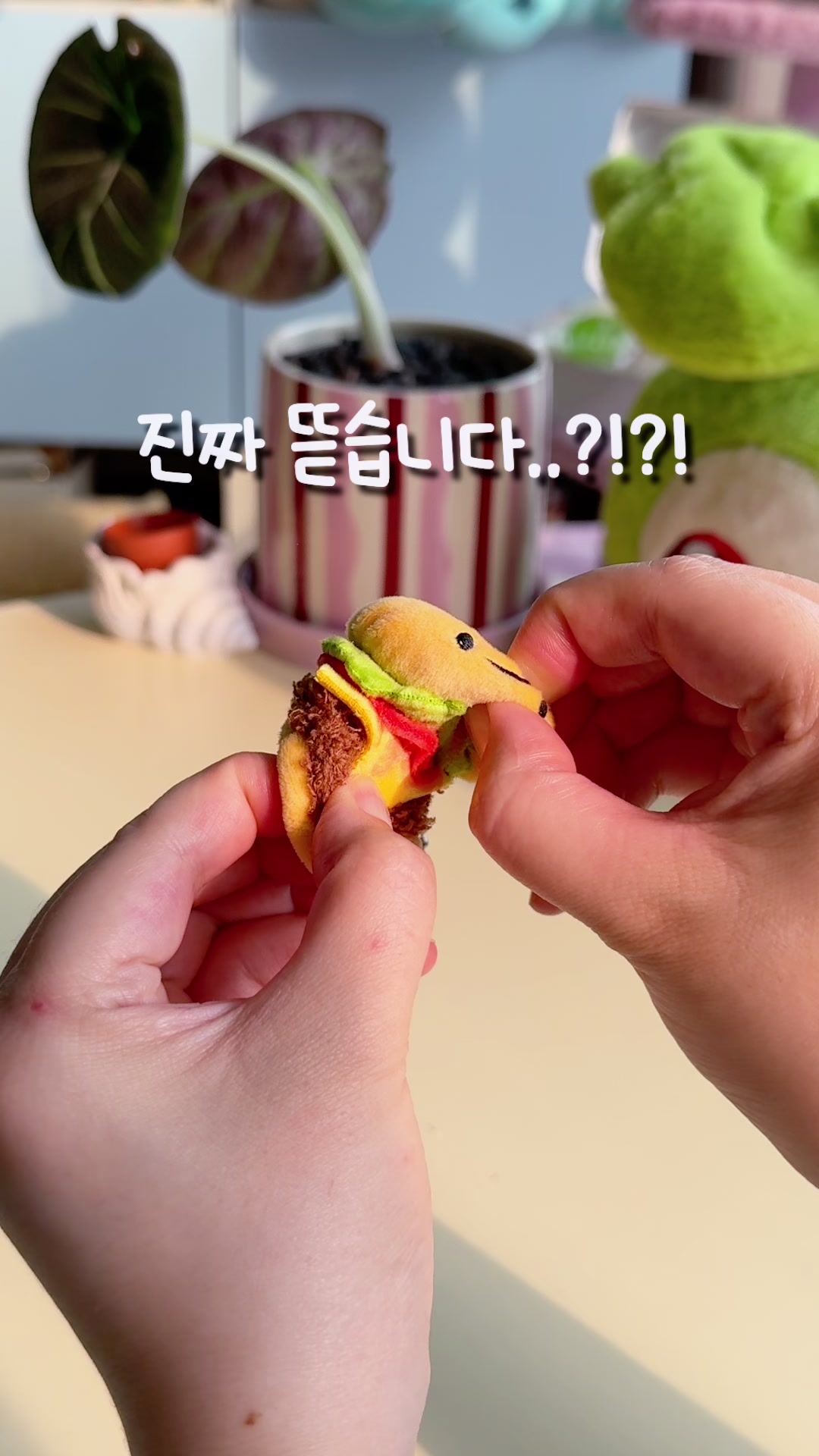 @마니랜드 Mani Land