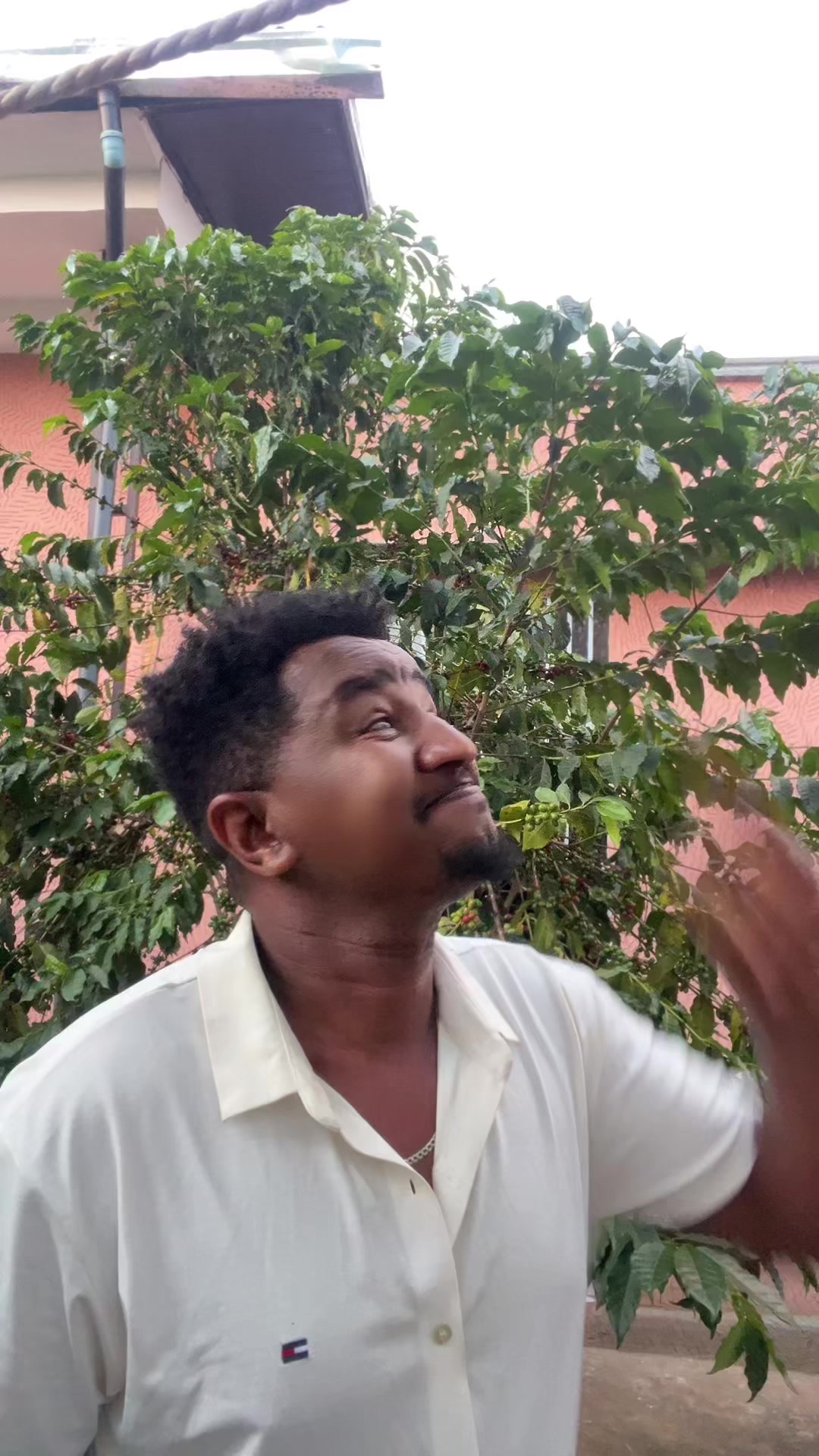 @mesi koyiru