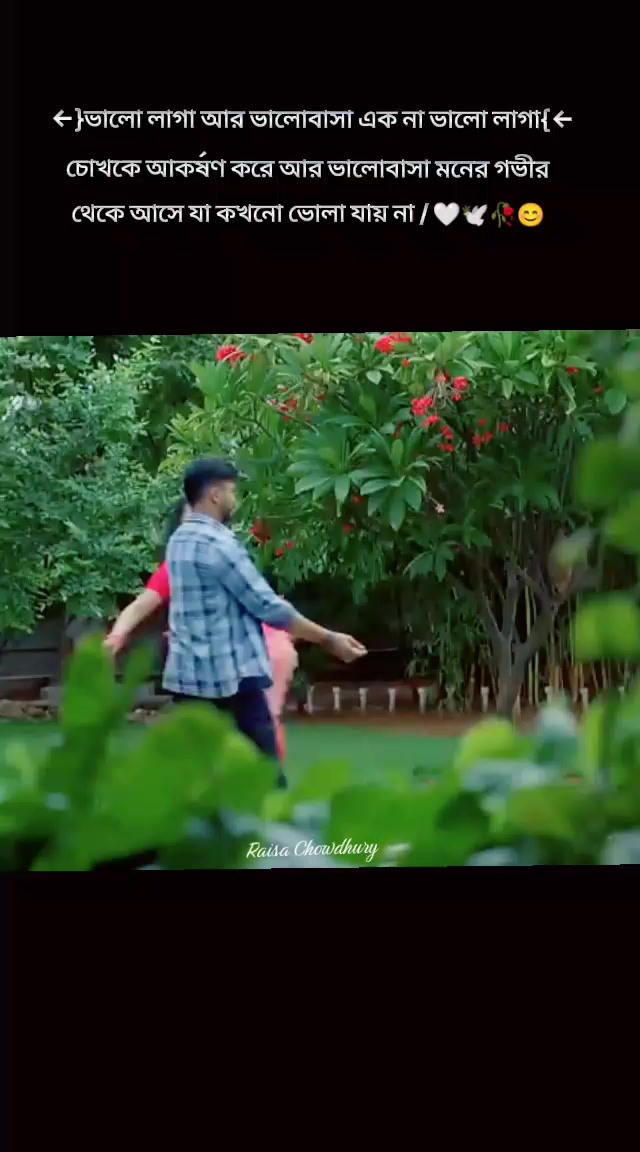 @𝄟✮⃝𝆺𝅥𝙍𝙖𝙞𝙨𝙖✮⃝𝆺𝅥˚𝄟