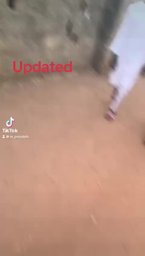 @07019584854