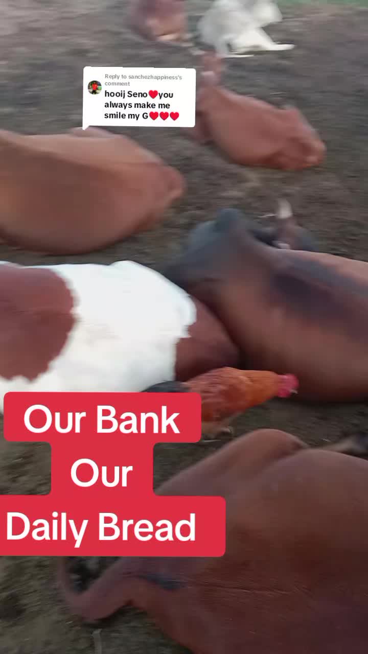 @Enkerai Ornyangusi