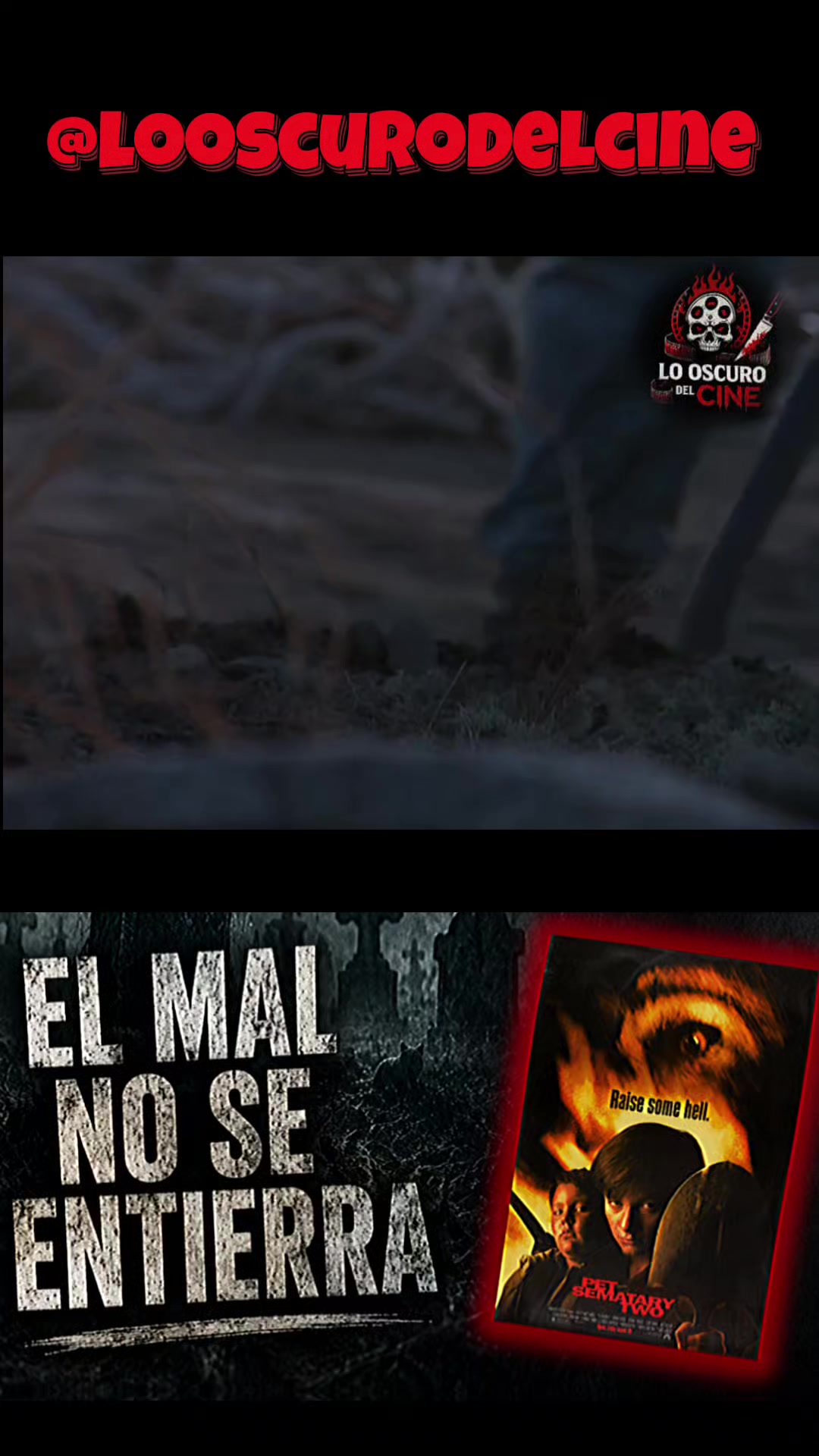 @Lo oscuro del cine