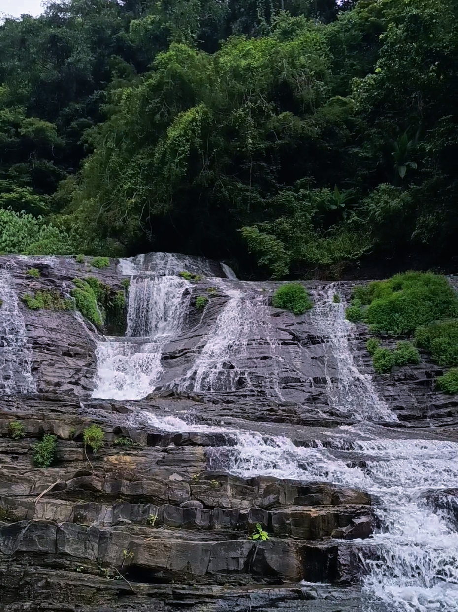 @Sheena Llyn Wandas