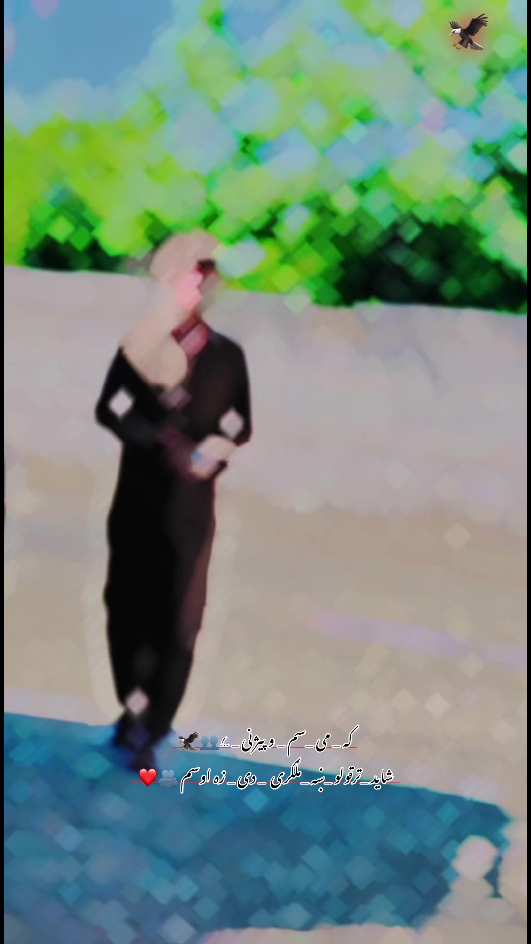 @𓆩•.🤼♂️عقاب پالوان🦅.•𓆪