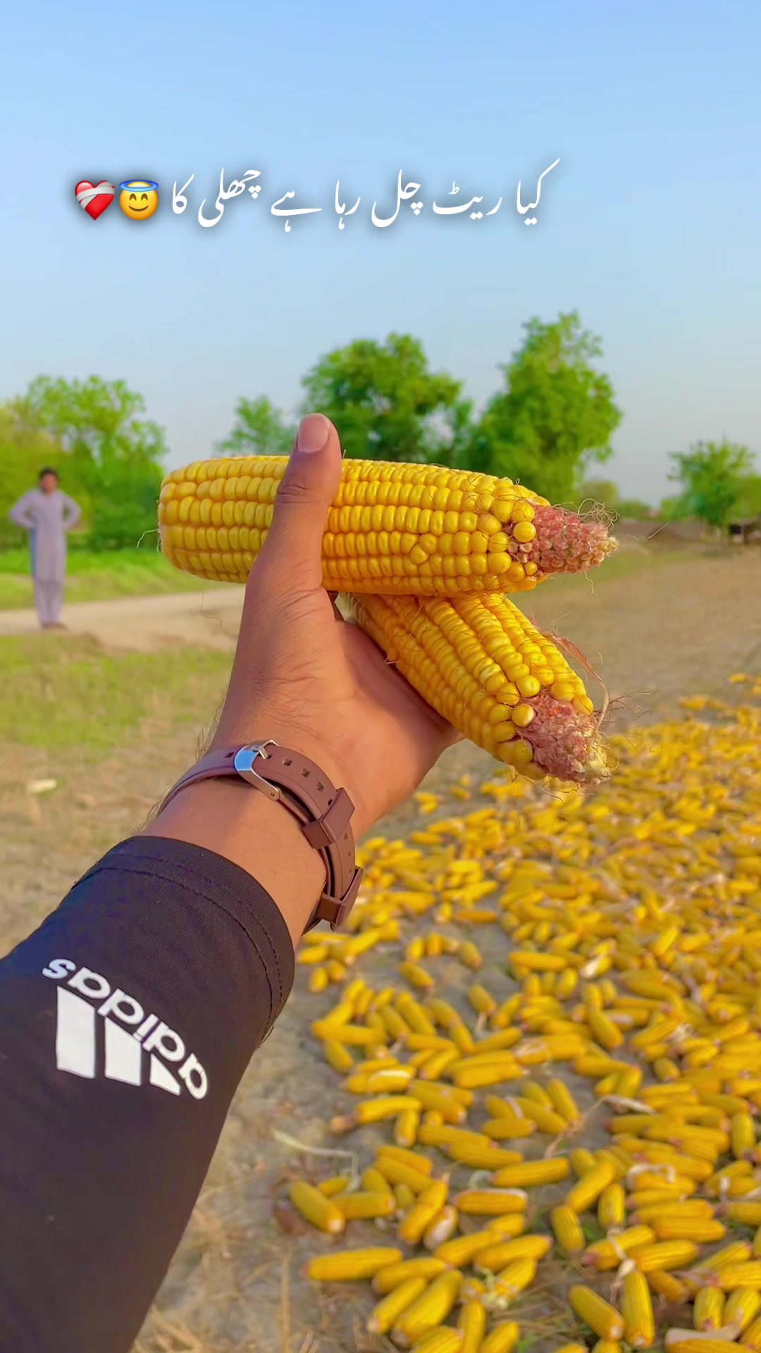 @🌱اویس میئو😎