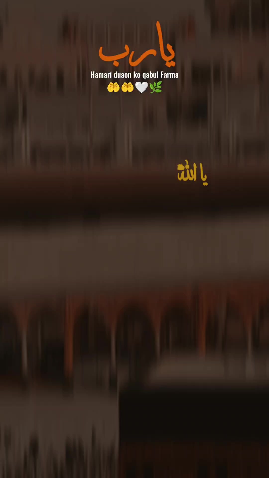 @Muhammad Khalid