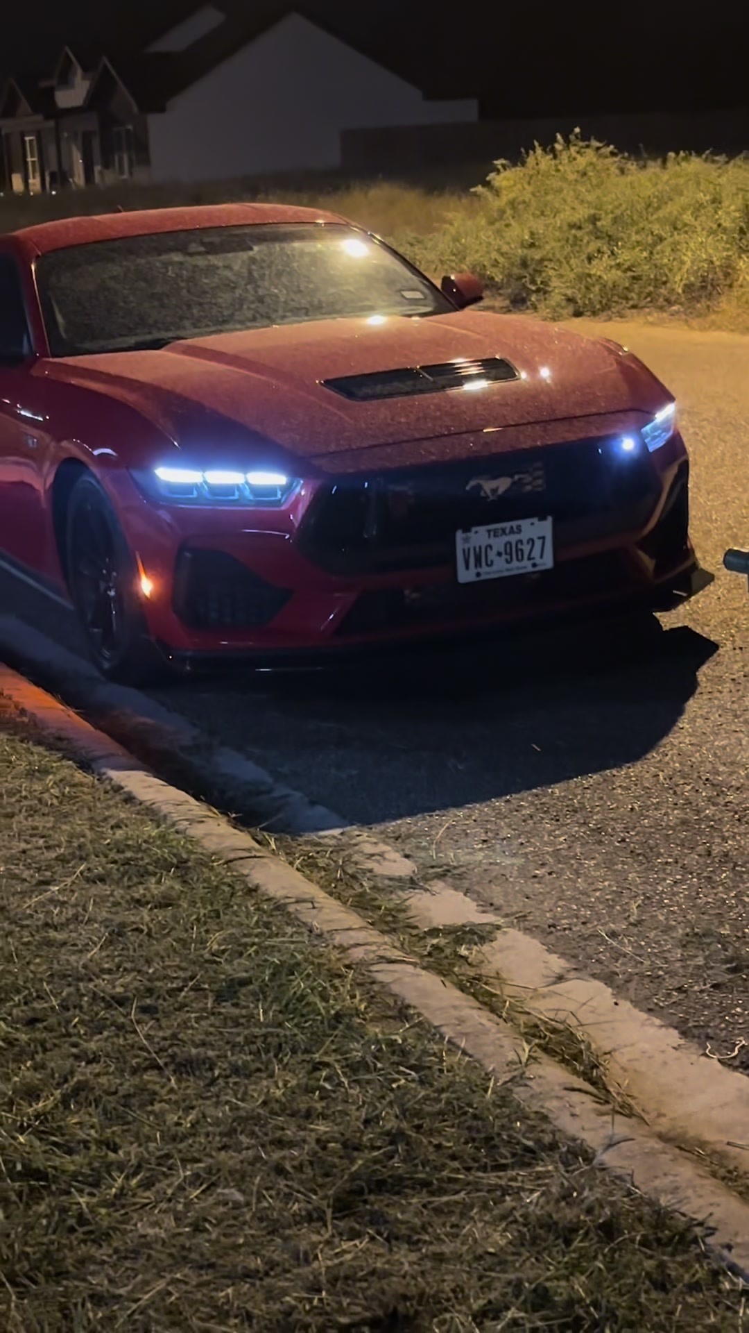 @Alex_S650🐌