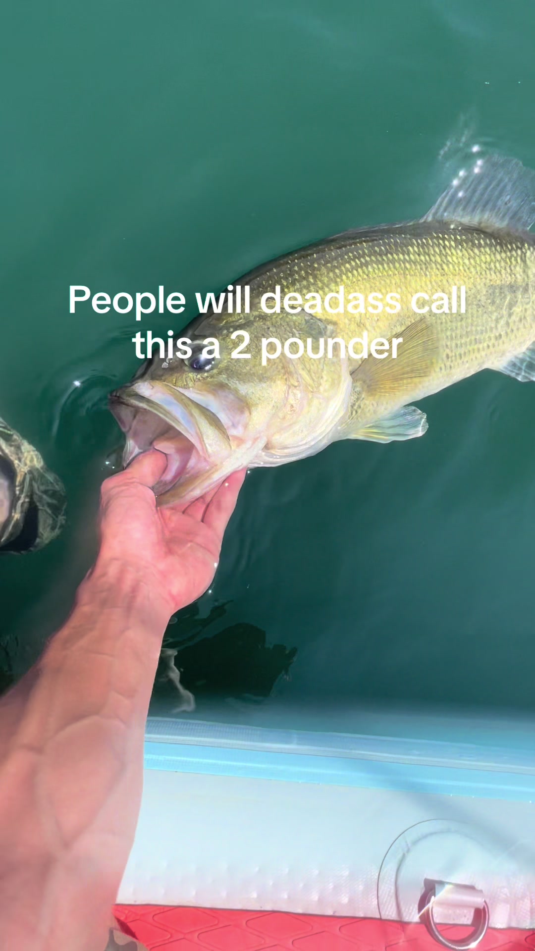 @sams.fishing_