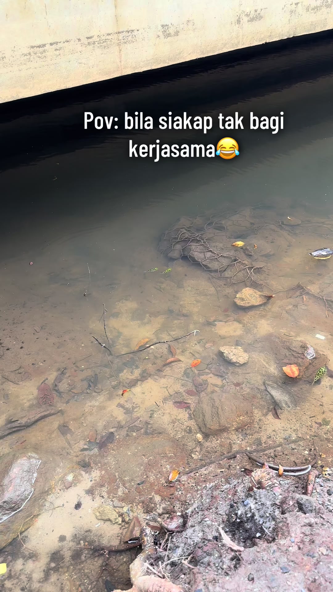 @muaz🎣