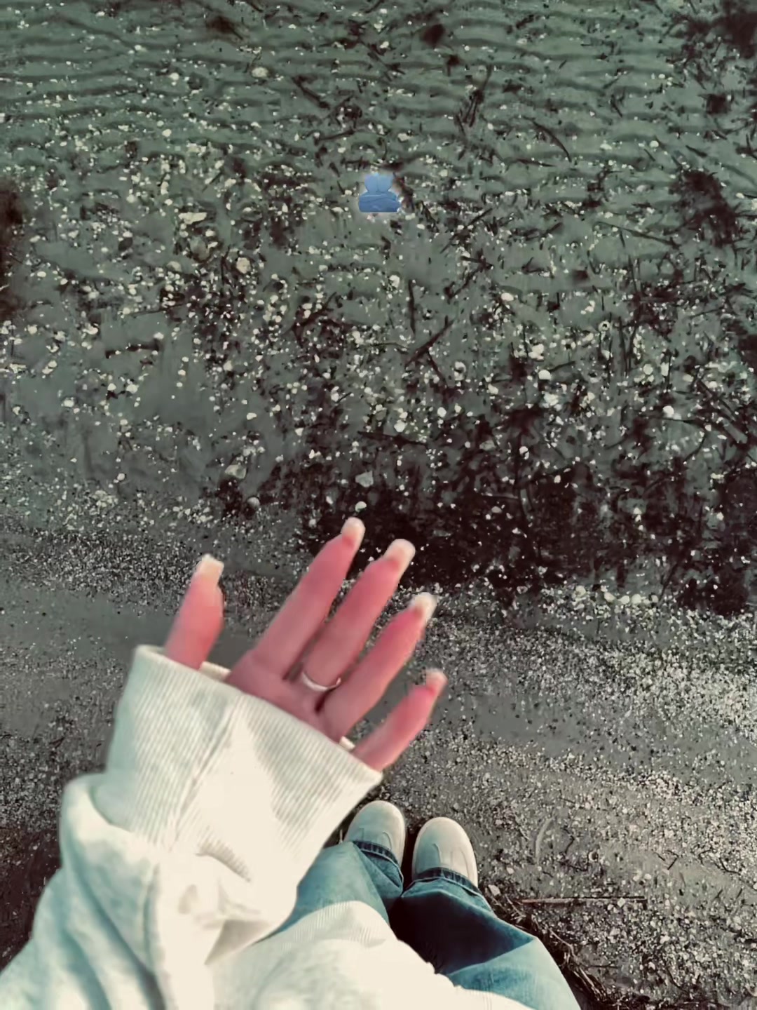 @華麗莉